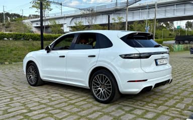 Cayenne (PO536)