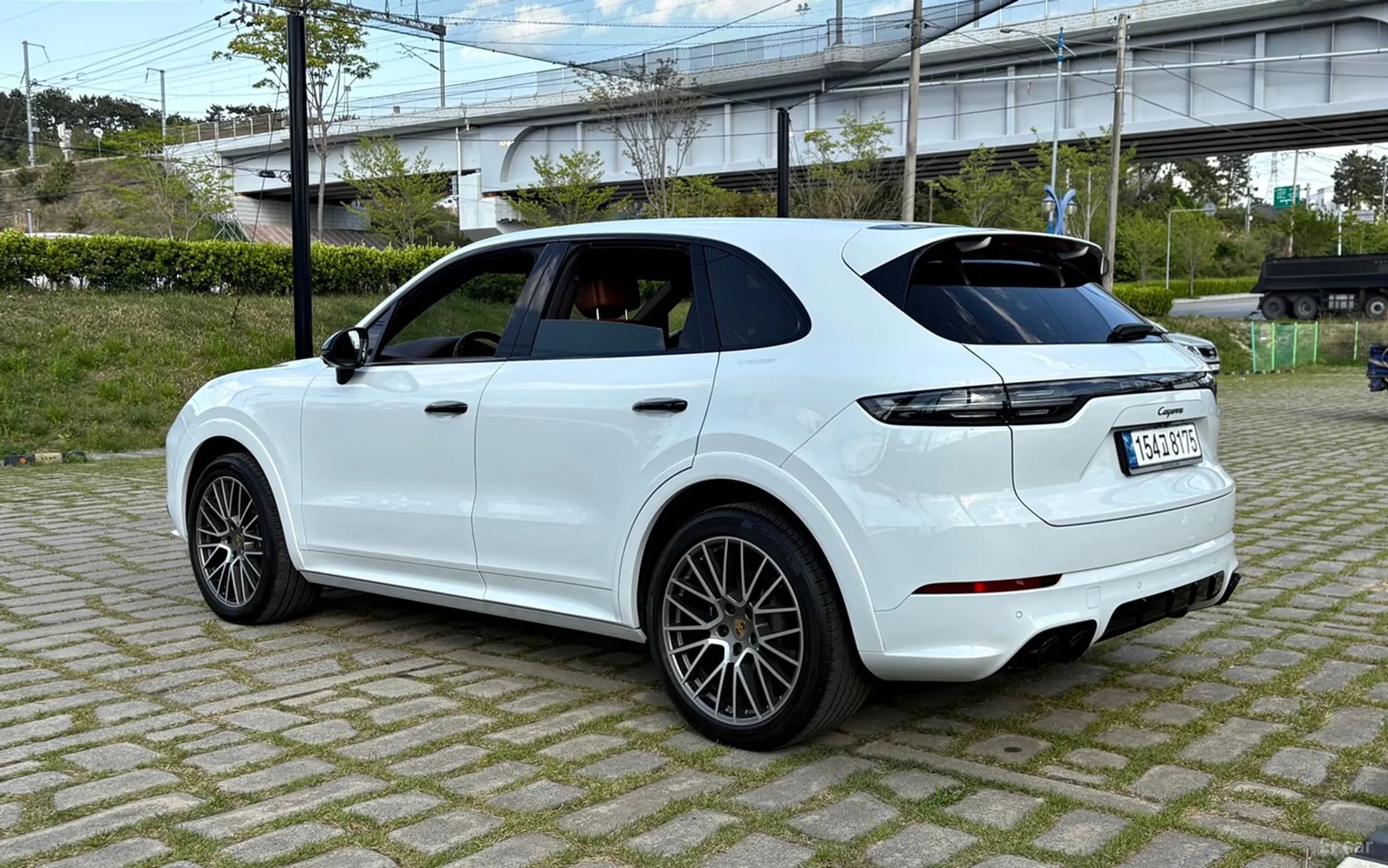Cayenne (PO536)