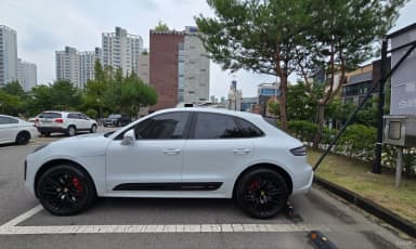 Macan