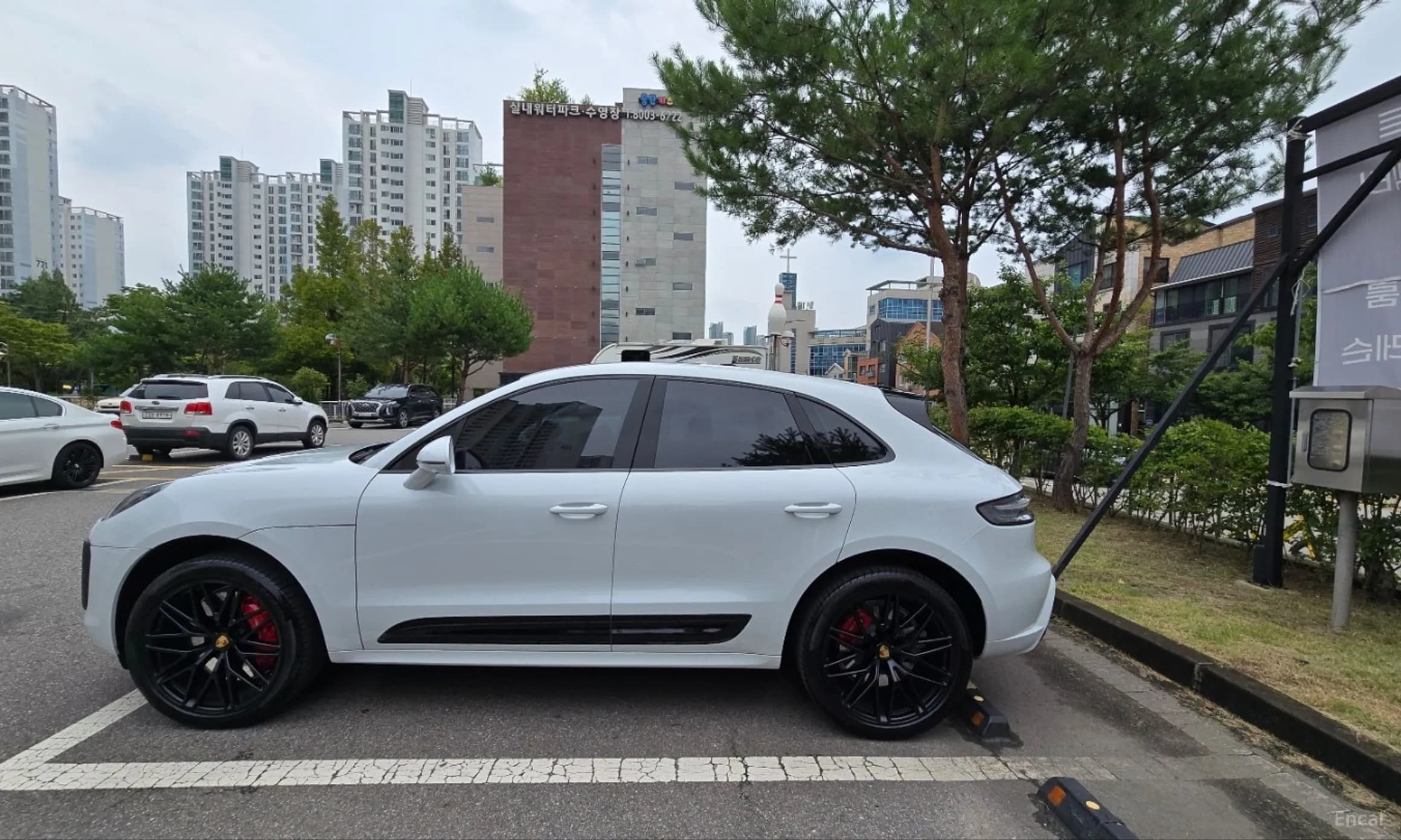 Macan