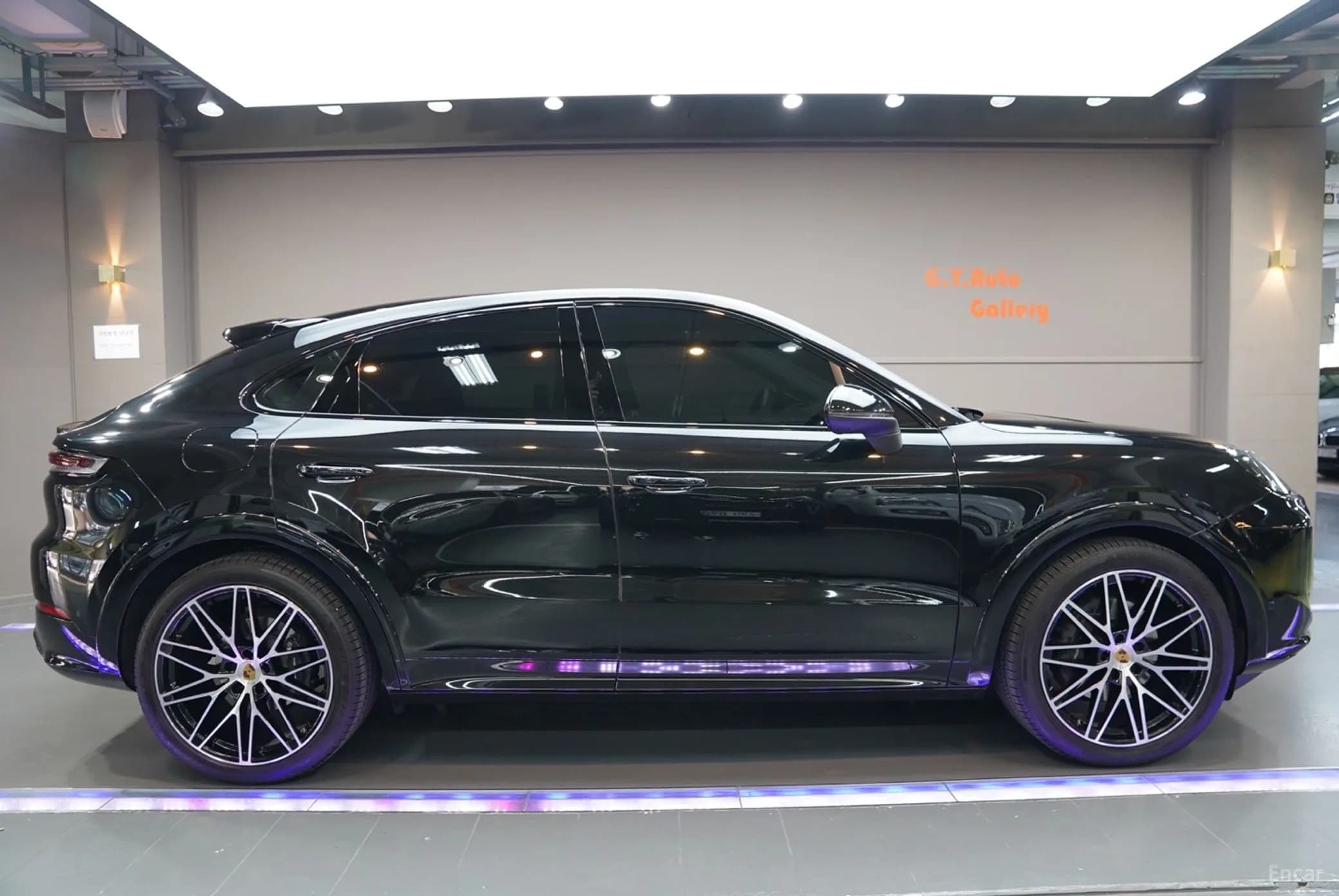 Cayenne (PO536)