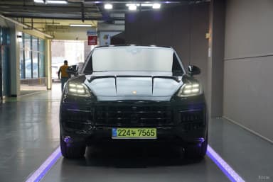 Cayenne (PO536)