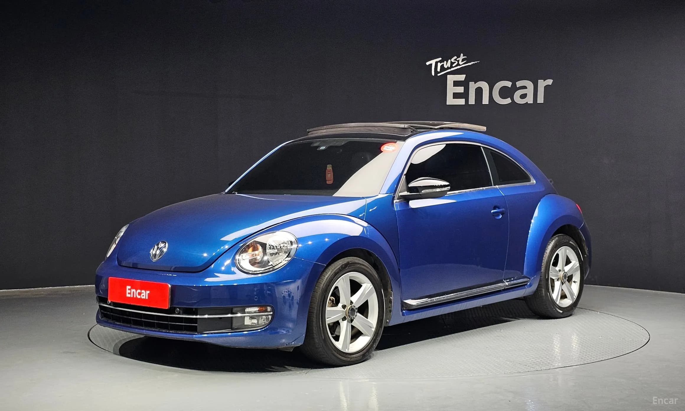 The Beetle