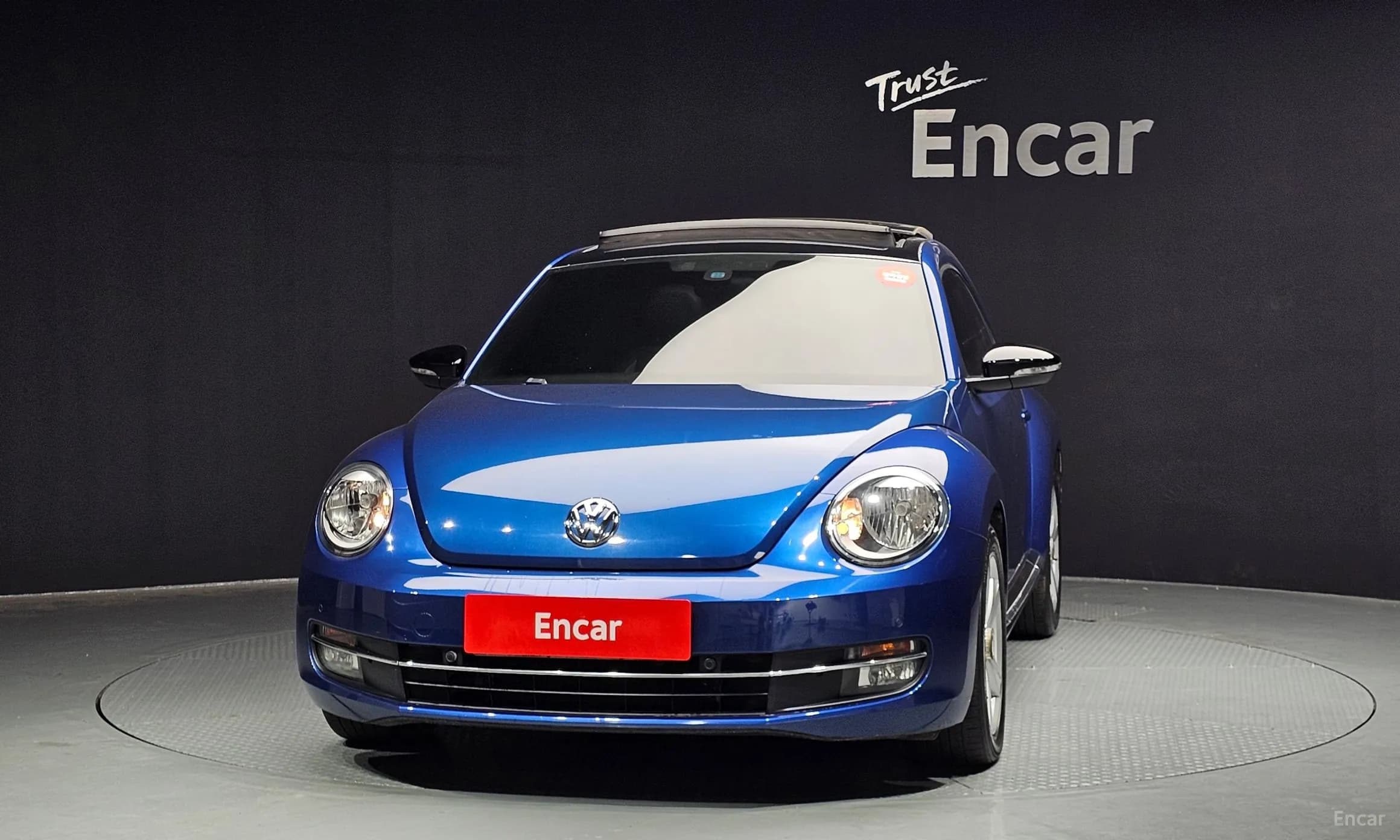 The Beetle