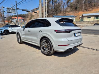 Cayenne (PO536)