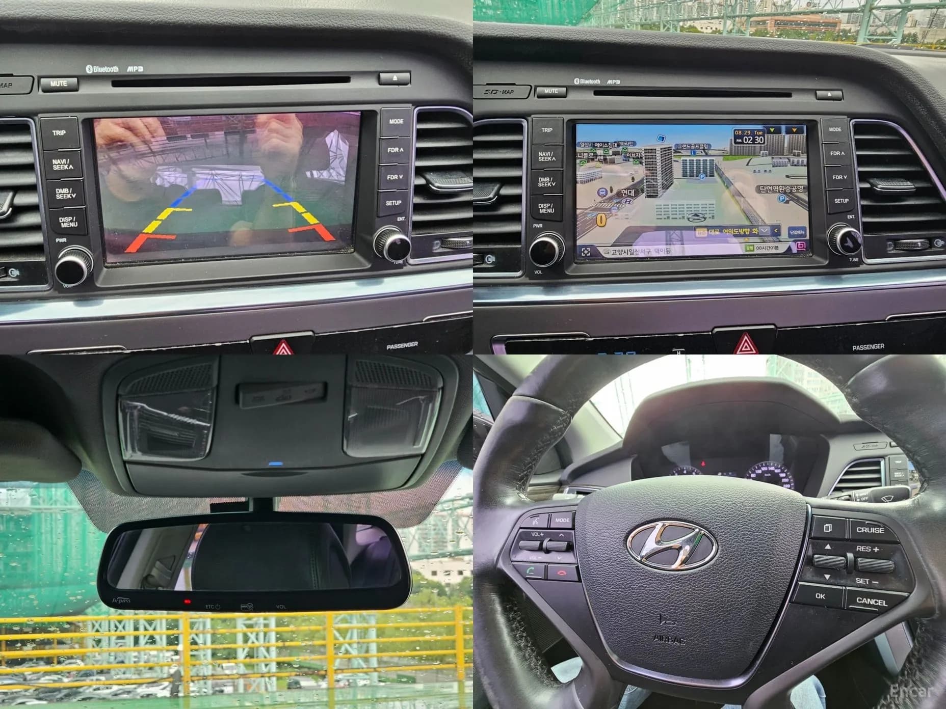 LF Sonata