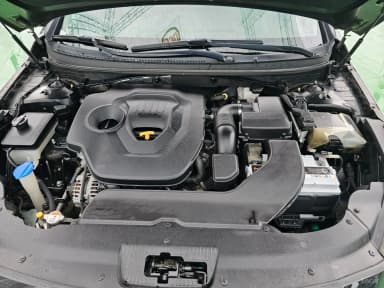 LF Sonata