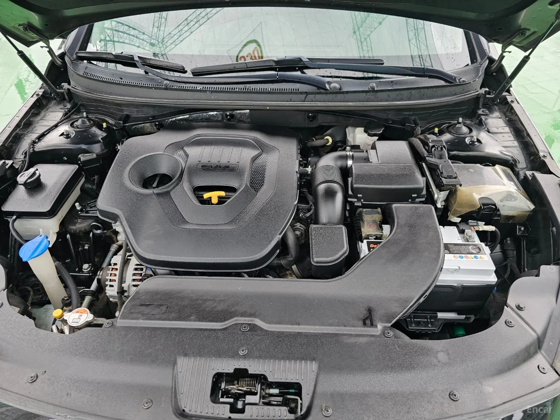 LF Sonata