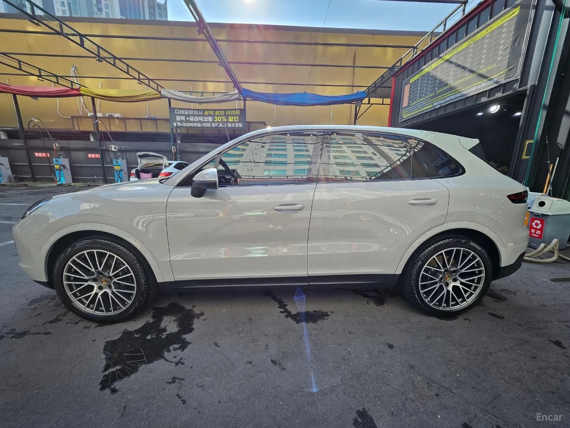 Cayenne (PO536)