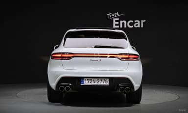 Macan