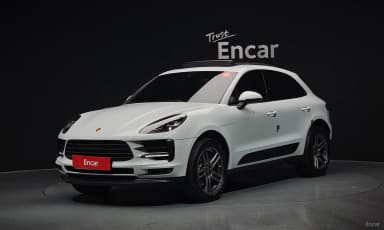 Macan
