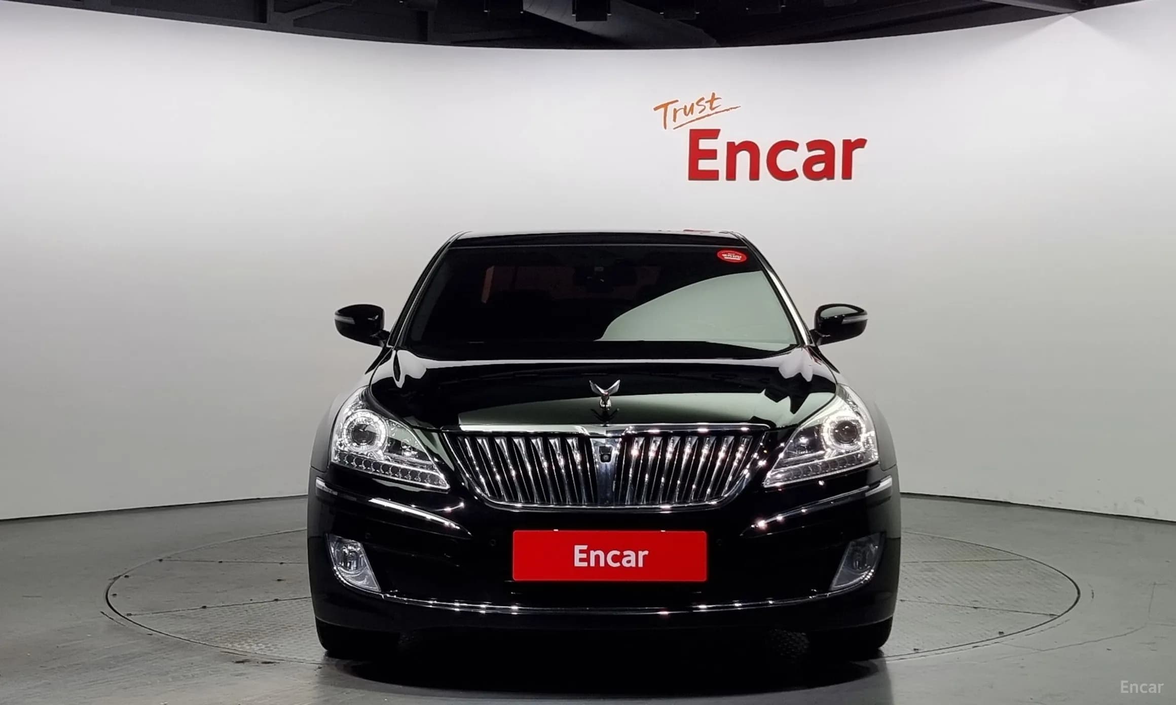 Equus (new)