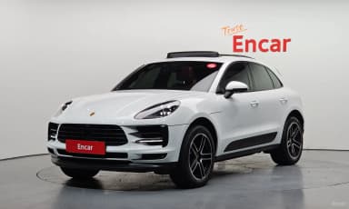 Macan