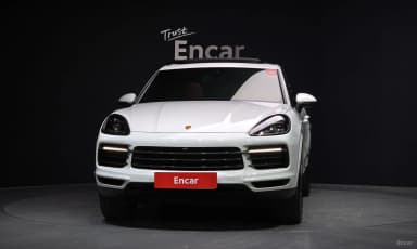 Cayenne (PO536)