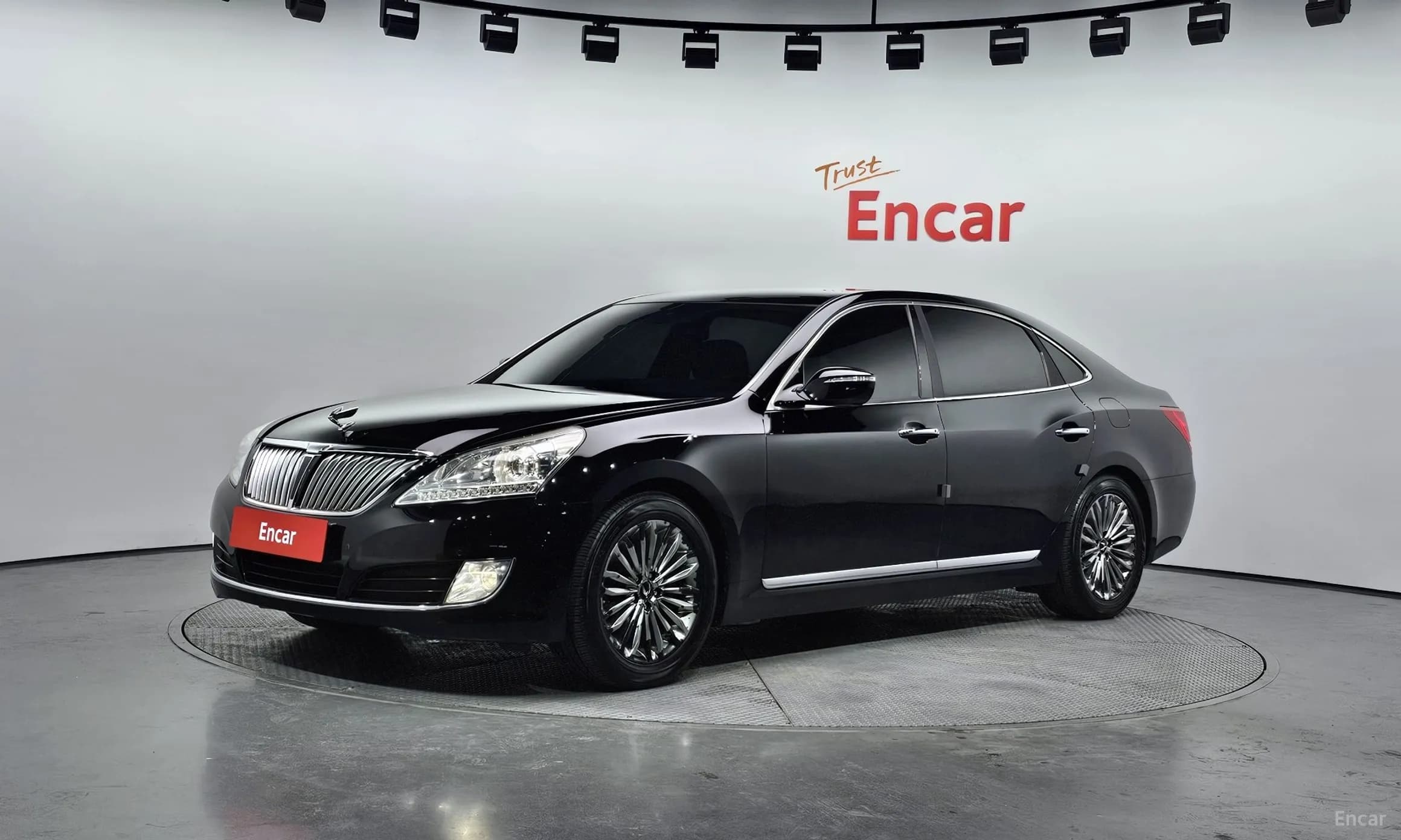 Equus (new)