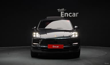 Macan