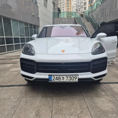 Cayenne (PO536)