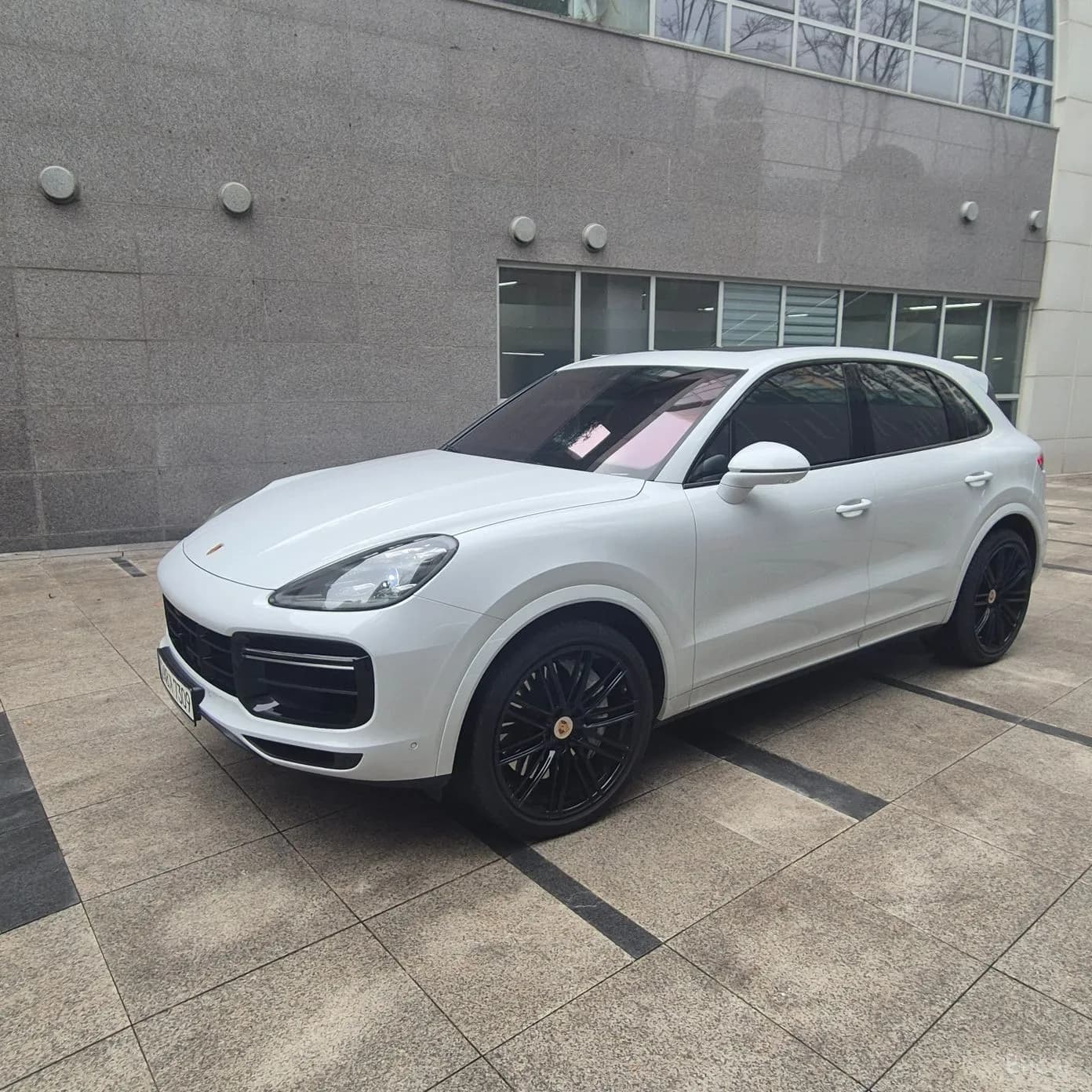 Cayenne (PO536)