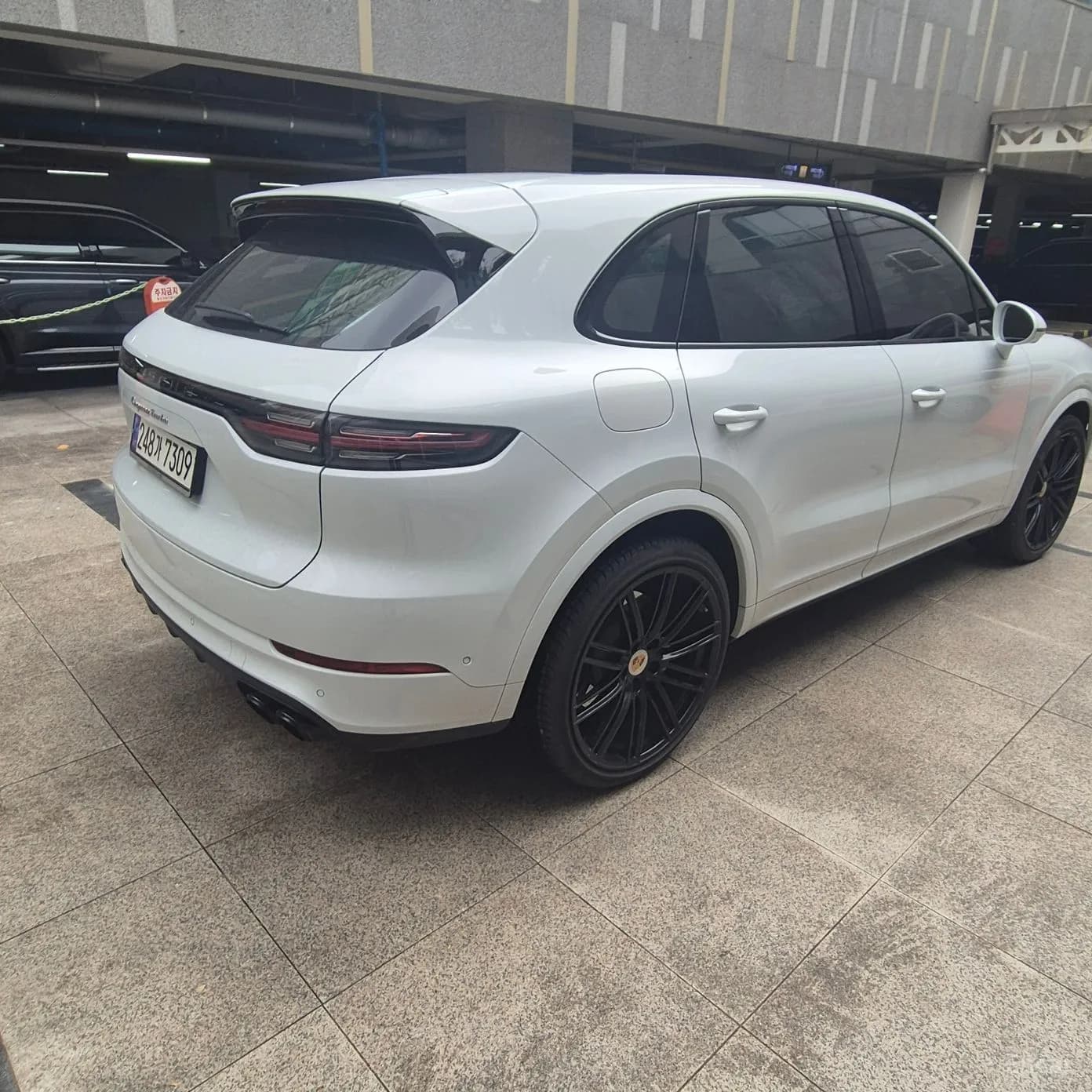 Cayenne (PO536)