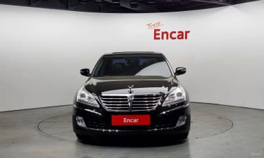 Equus (new)