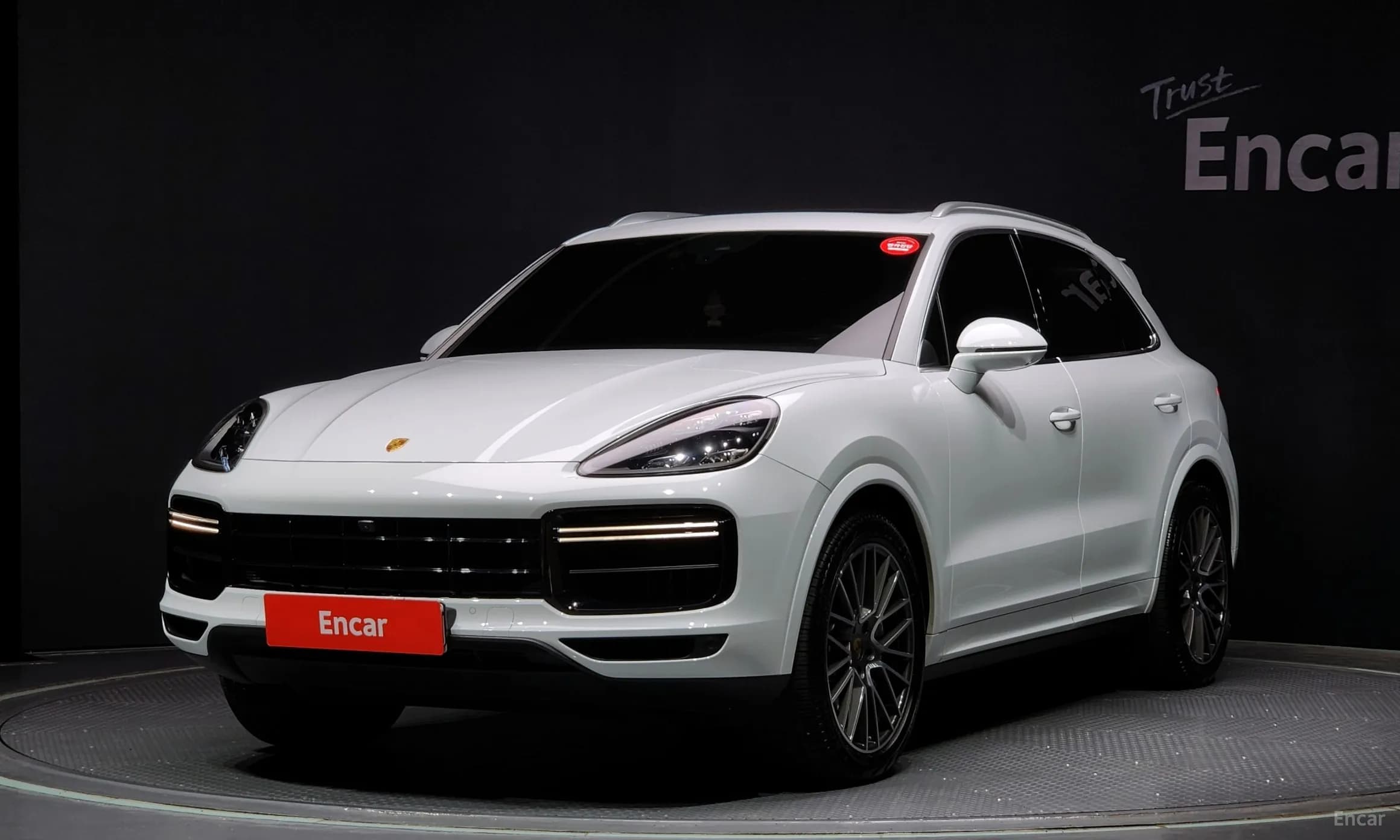 Cayenne (PO536)
