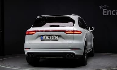 Cayenne (PO536)
