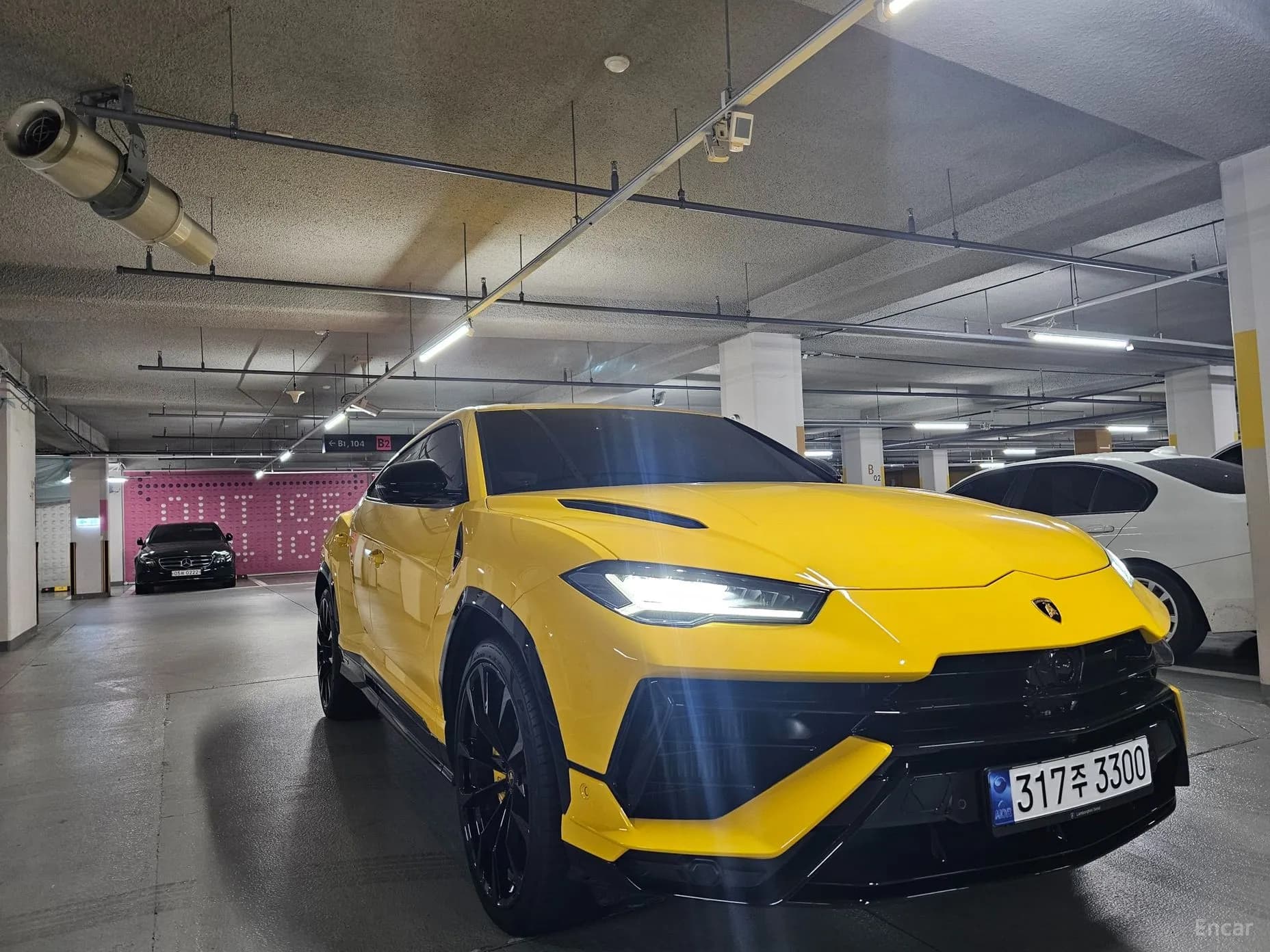 Urus
