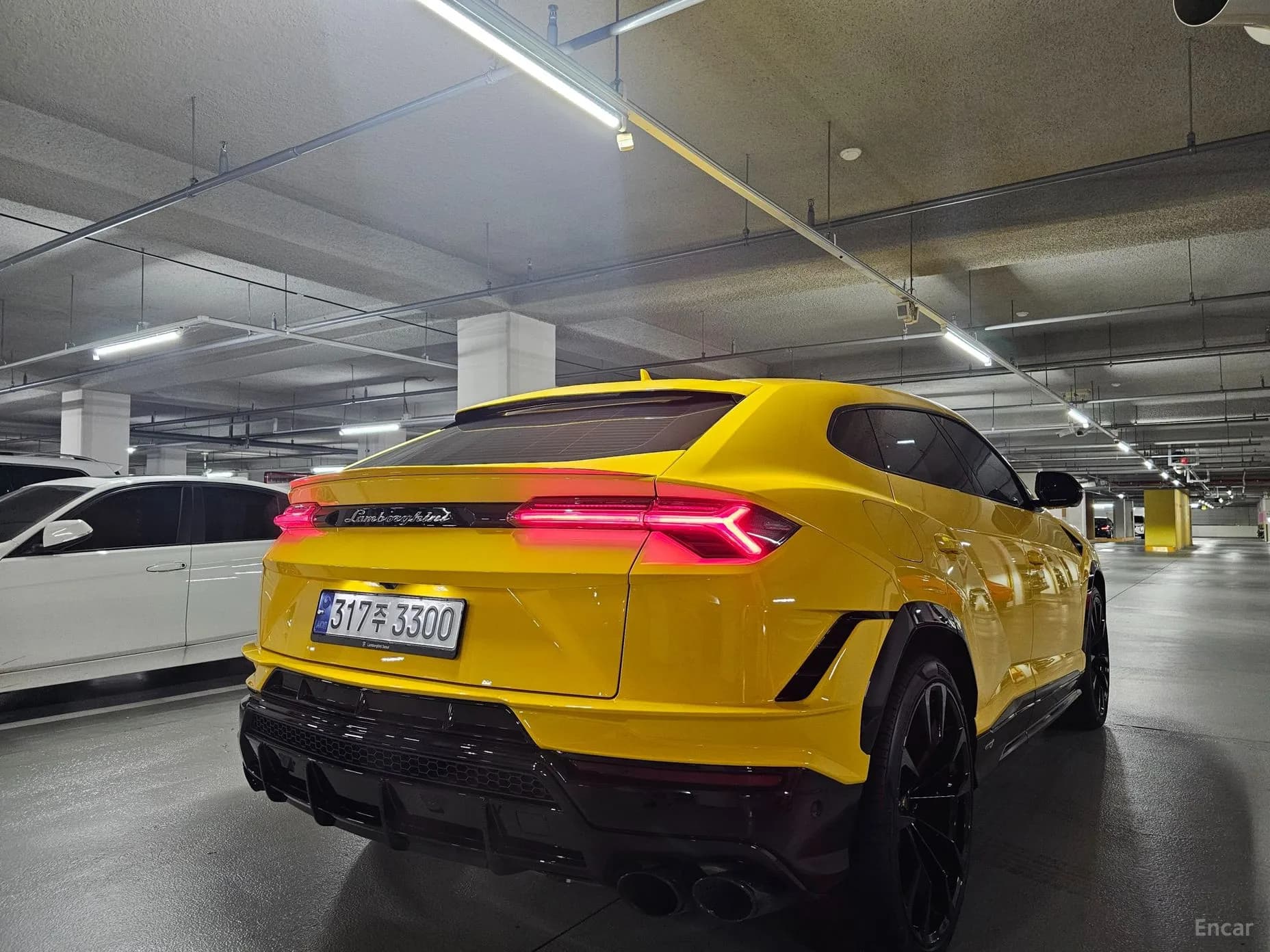 Urus