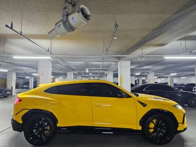 Urus