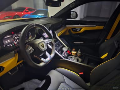 Urus