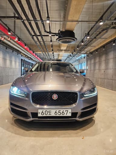 XE
