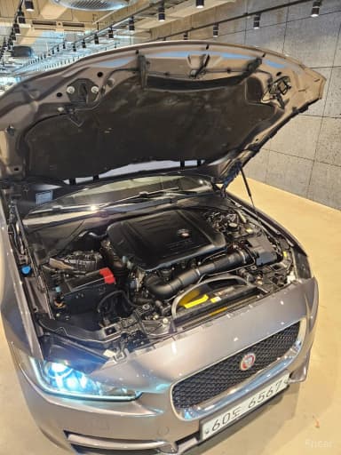 XE
