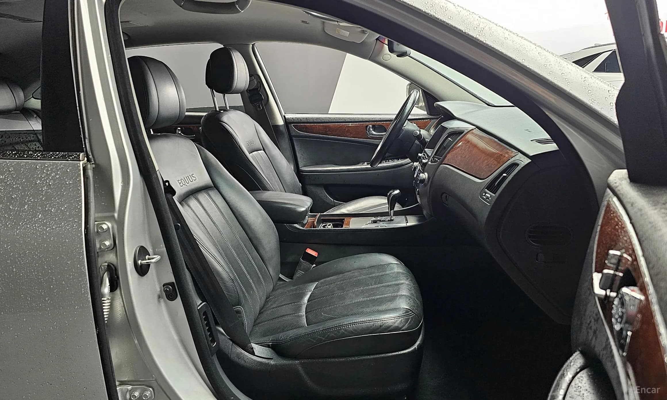 Equus (new)