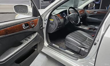 Equus (new)