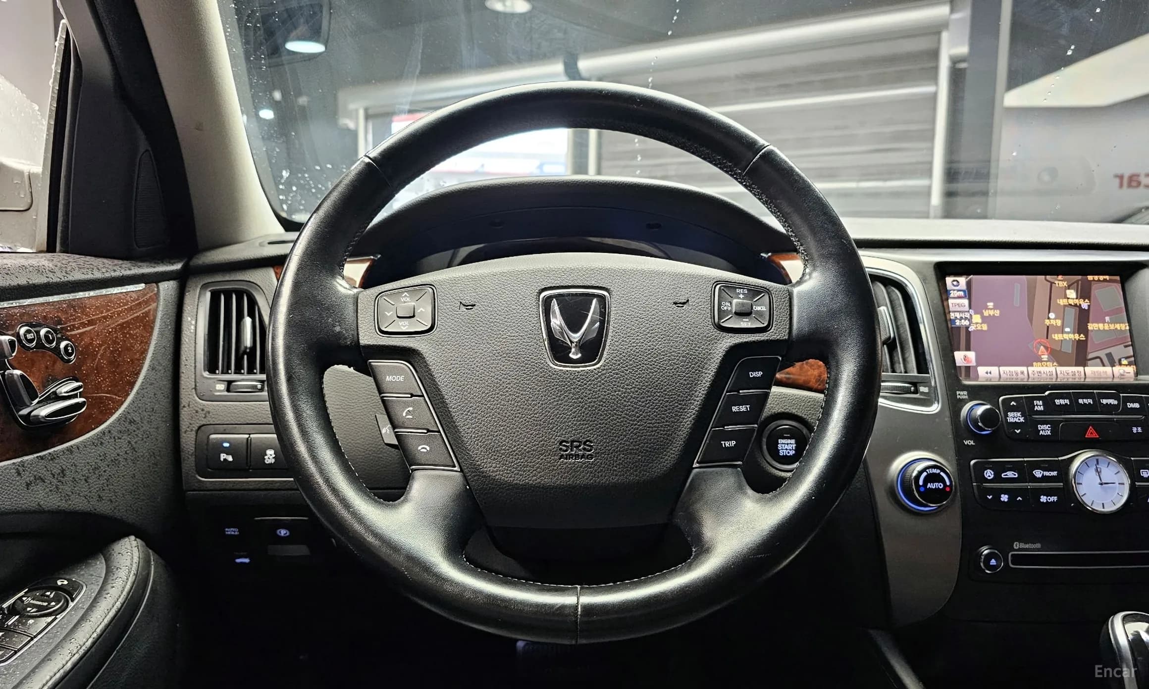 Equus (new)