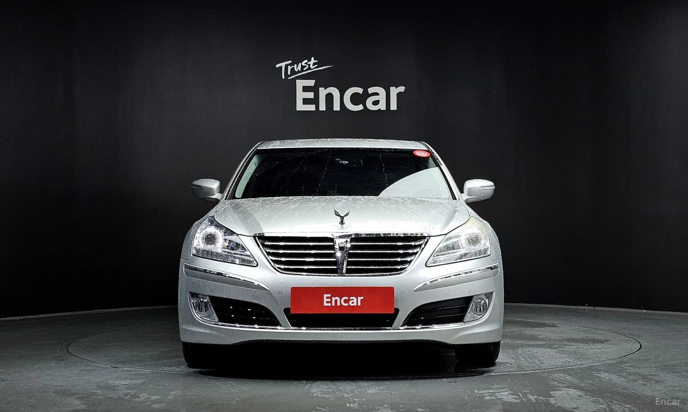 Equus (new)