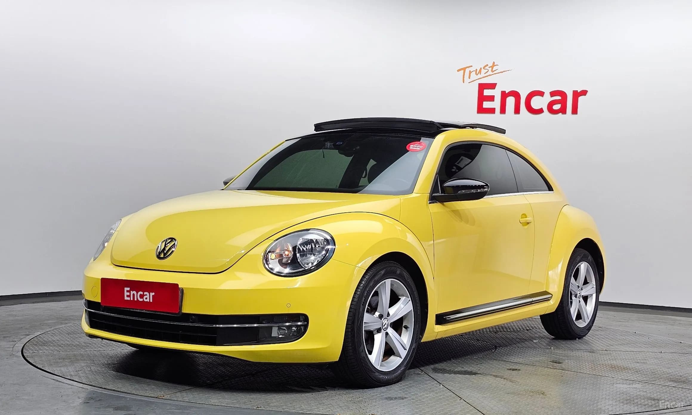 The Beetle
