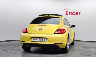 The Beetle