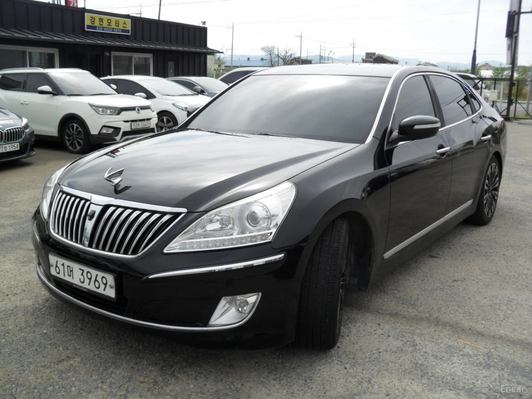 Equus (new)
