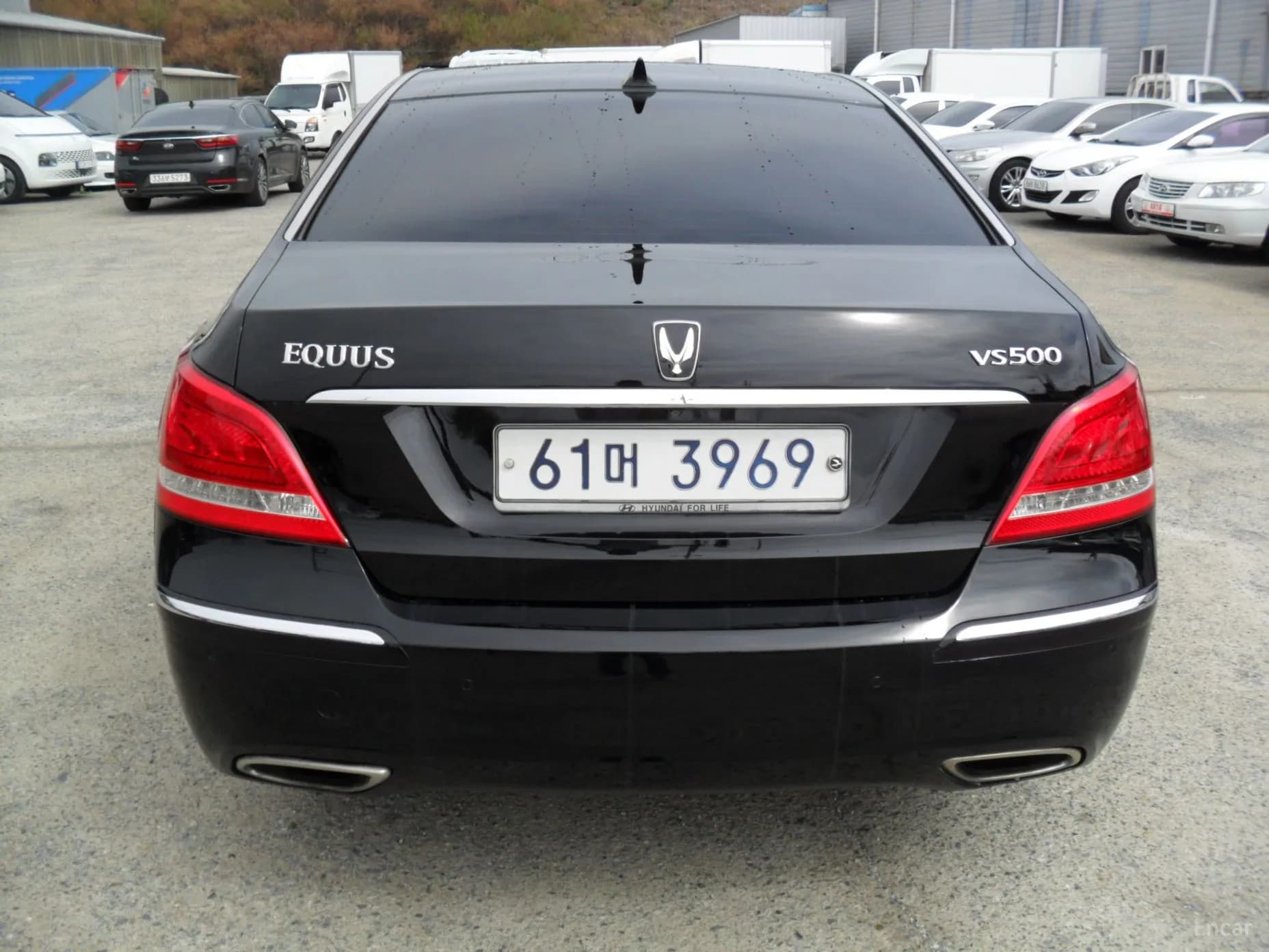 Equus (new)