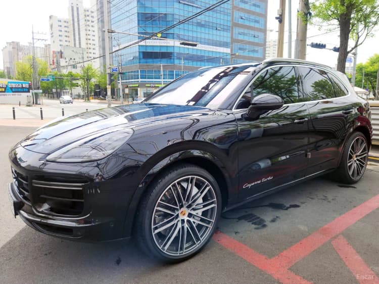 Cayenne (PO536)