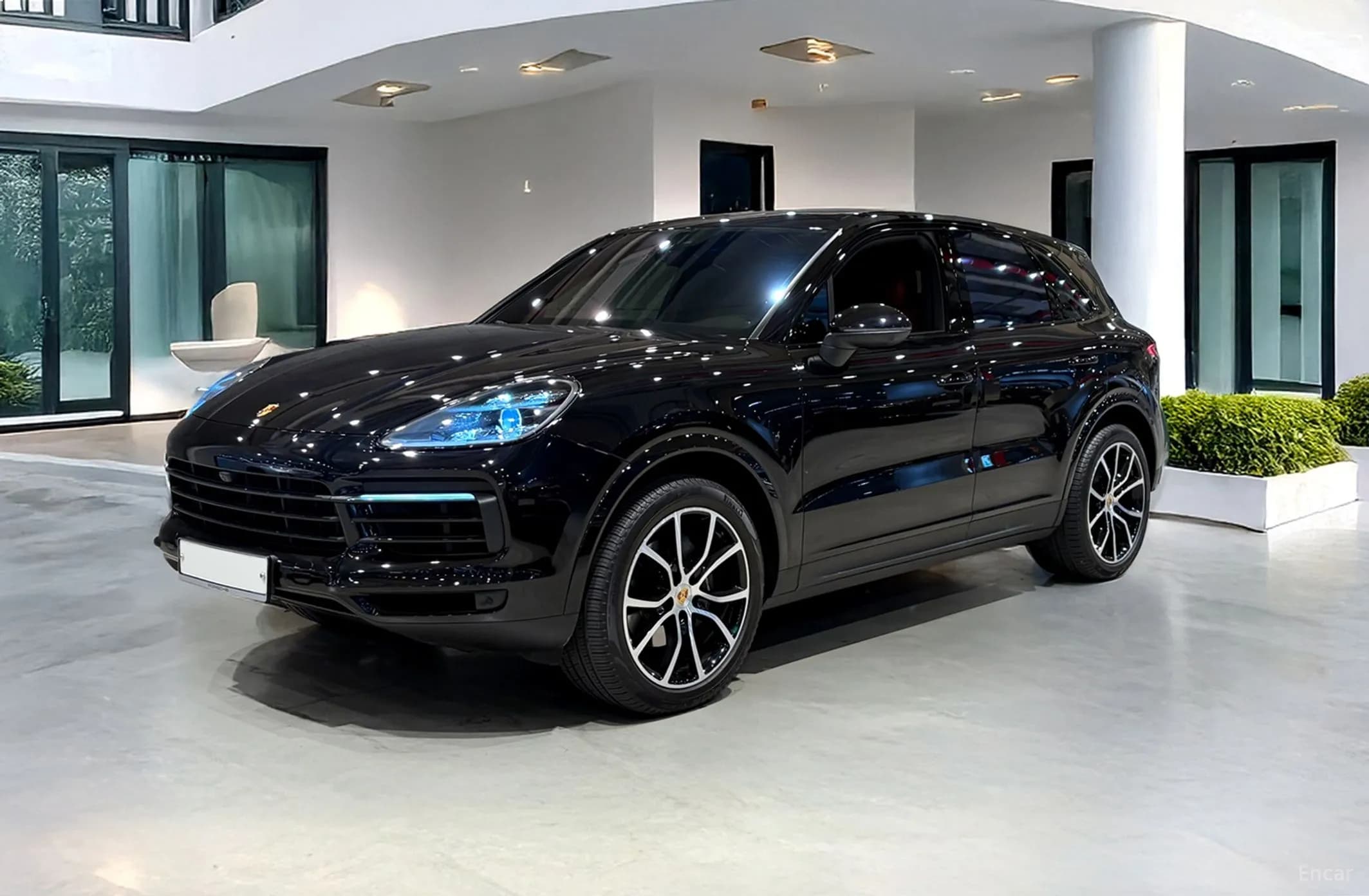 Cayenne (PO536)