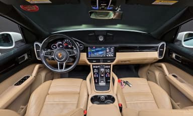 Cayenne (PO536)