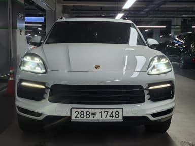 Cayenne (PO536)