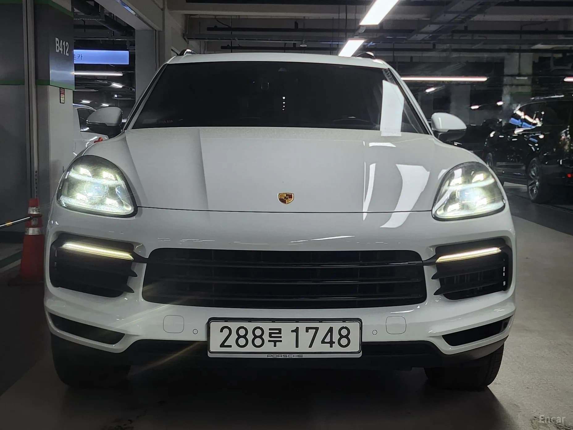 Cayenne (PO536)
