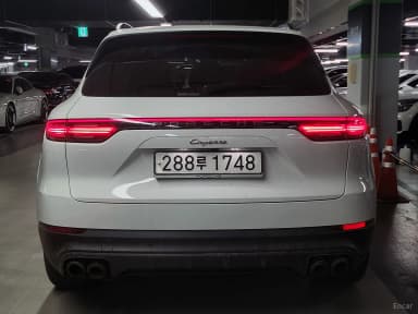 Cayenne (PO536)