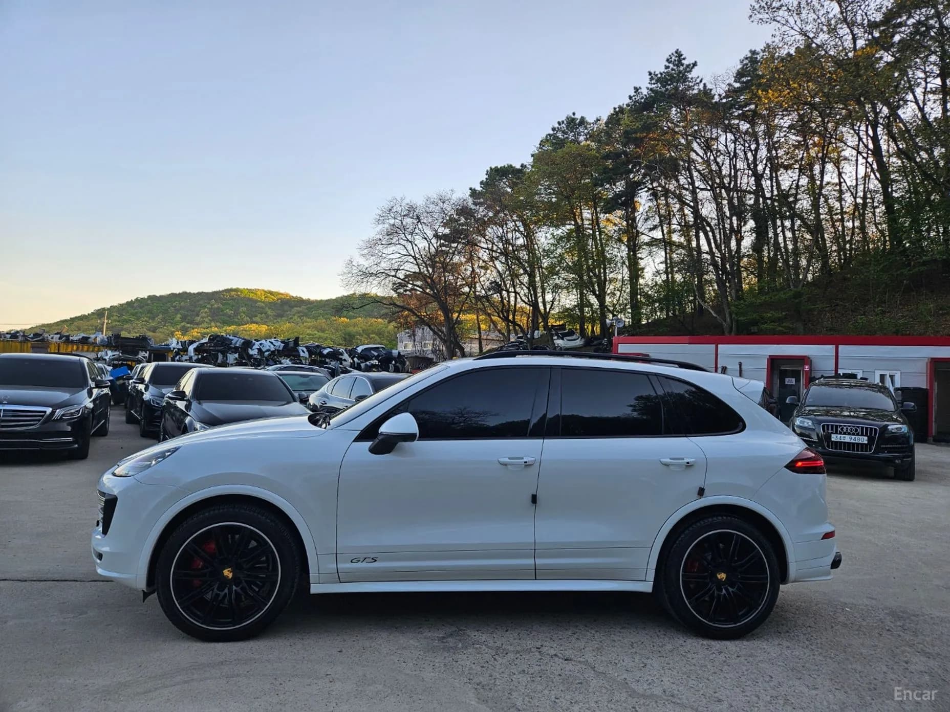 New Cayenne