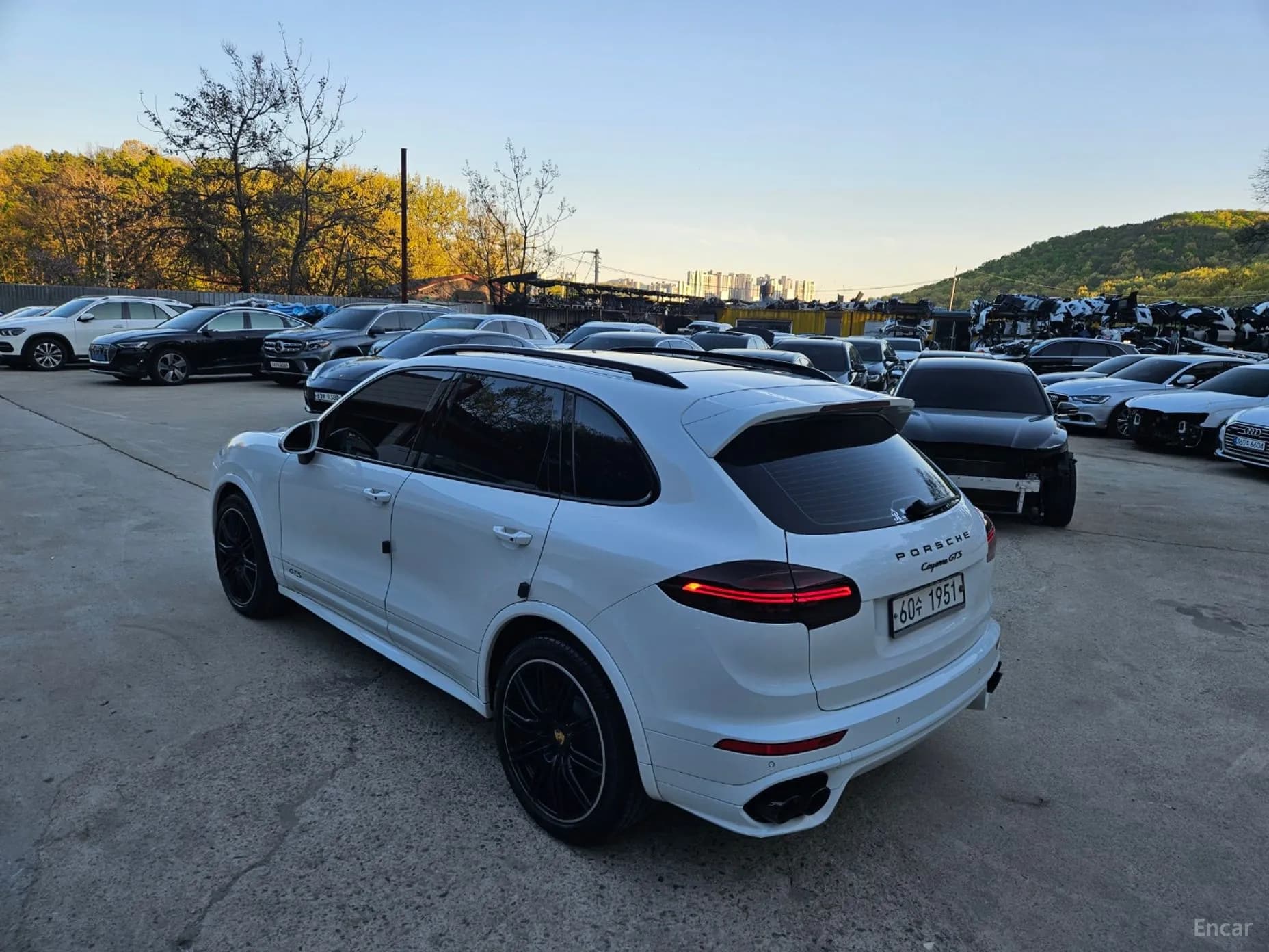 New Cayenne