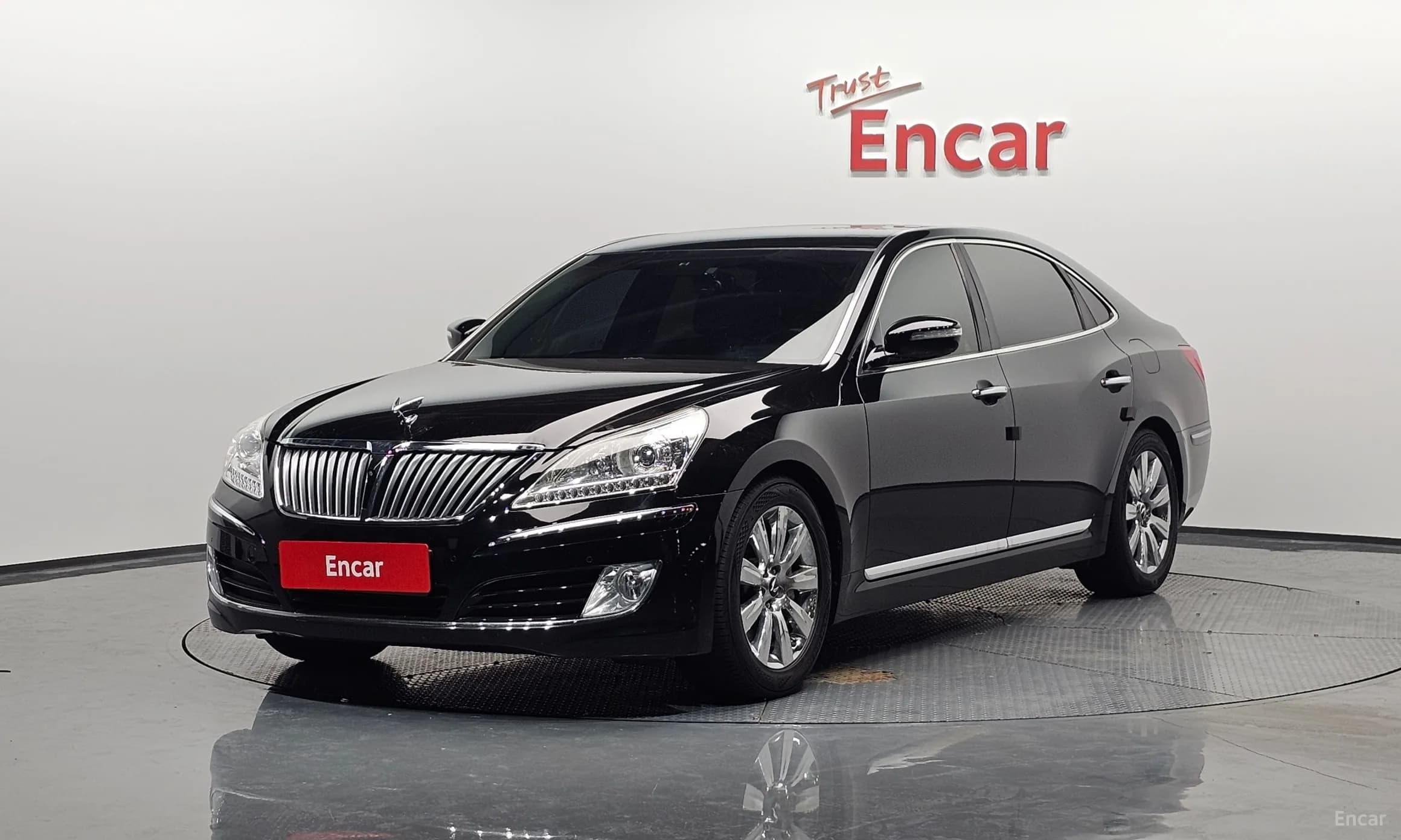 Equus (new)