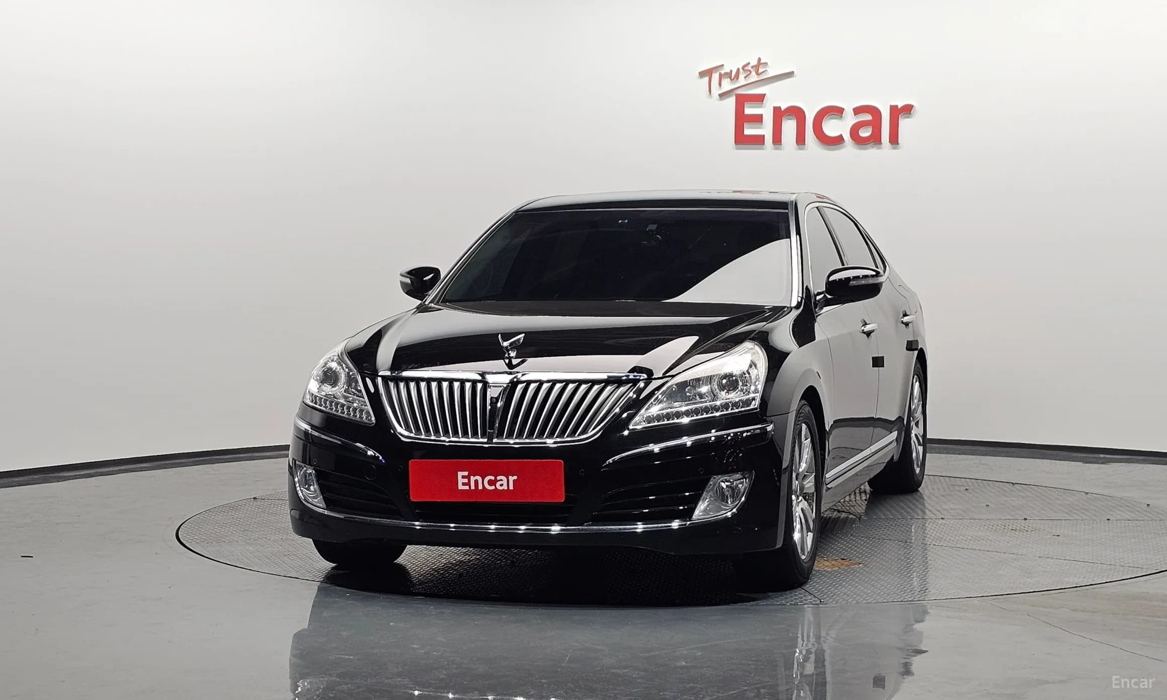 Equus (new)
